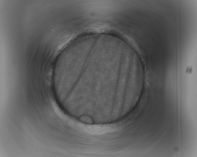 X0000110870018200907161449