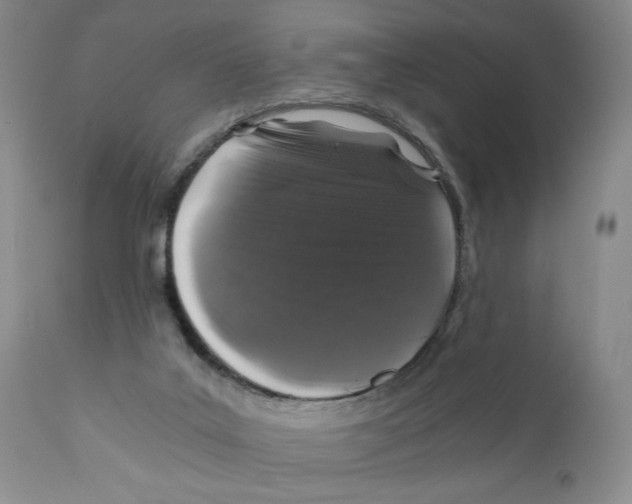 X0000110870019200907161449