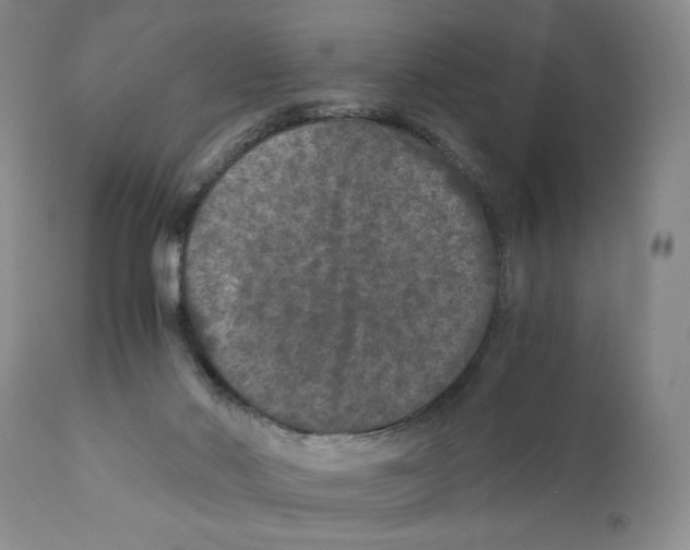 X0000110870022200907161449