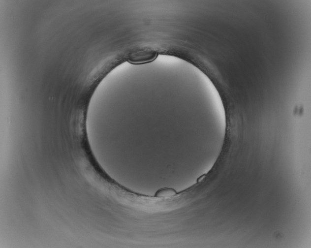 X0000110870023200907161449