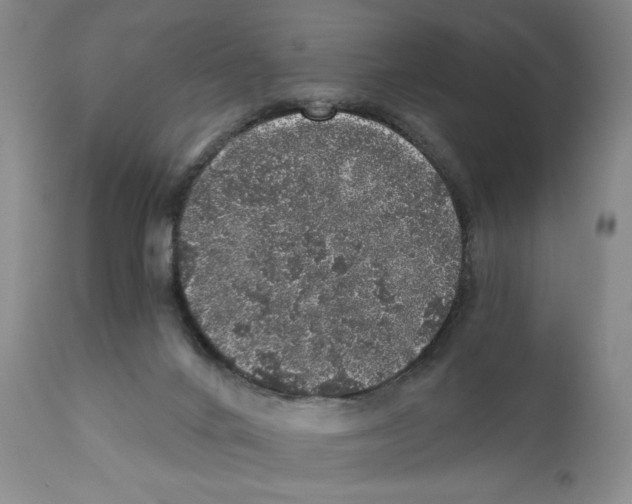 X0000110870024200907161449