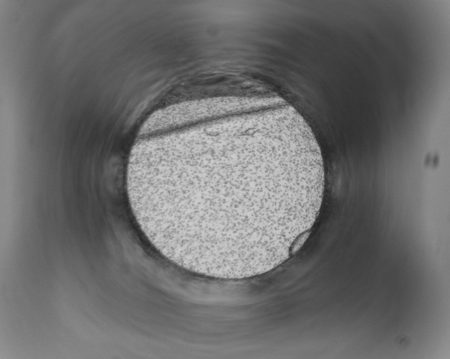 X0000110870036200907161448