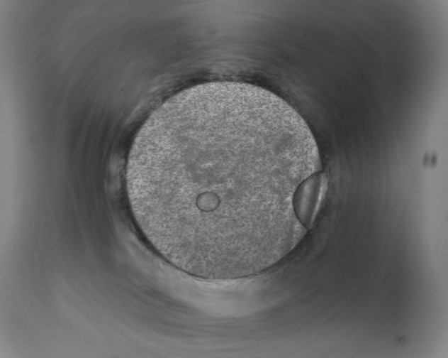 X0000110870038200907161448