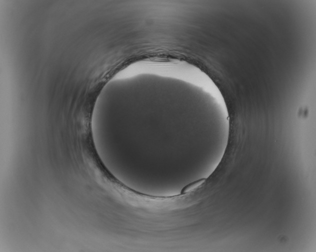 X0000110870039200907161448