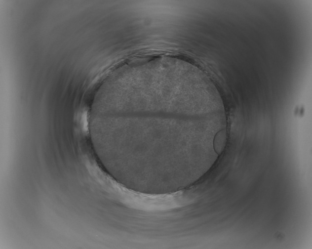 X0000110870042200907161448