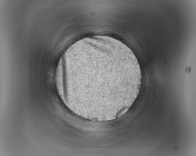 X0000110870044200907161448