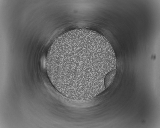 X0000110870046200907161448