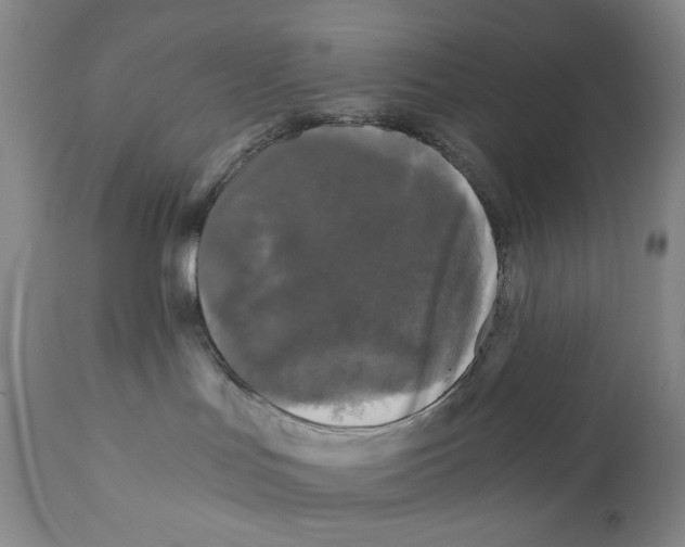 X0000110870047200907161448