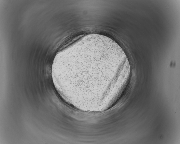 X0000110870048200907161448