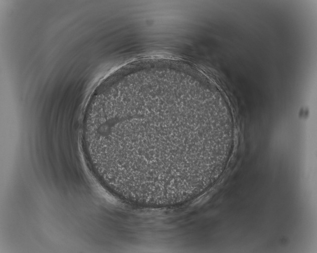 X0000110870049200907161448