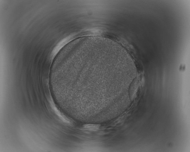 X0000110870051200907161448