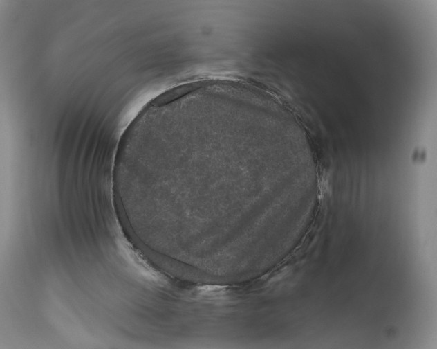 X0000110870052200907161448