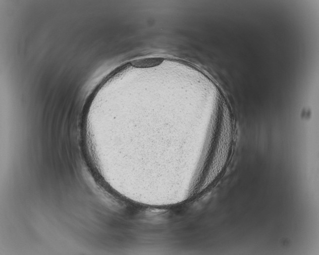 X0000110870055200907161448