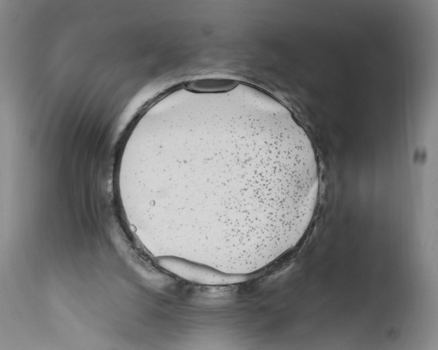 X0000110870056200907161448