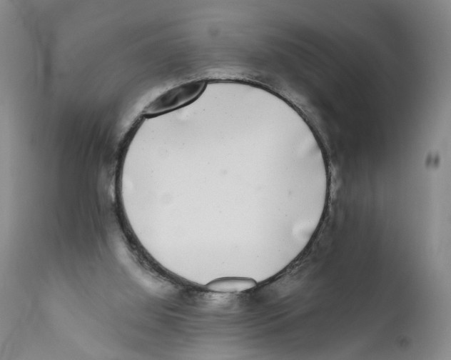 X0000110870060200907161448