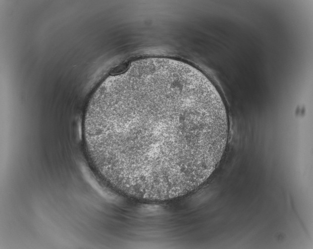 X0000110870061200907161448