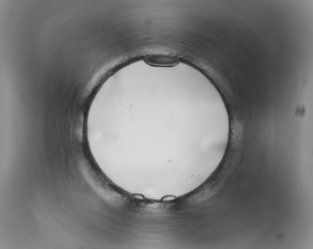 X0000110870064200907161448