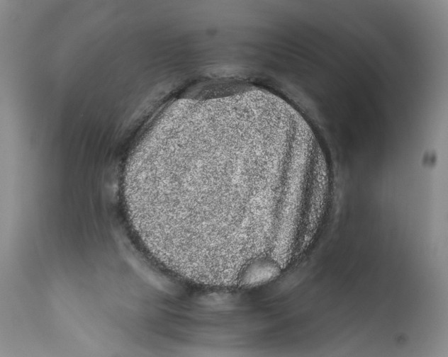 X0000110870065200907161448