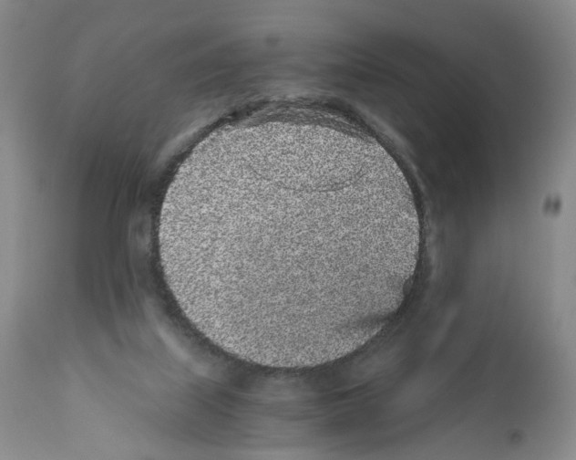 X0000110870067200907161448