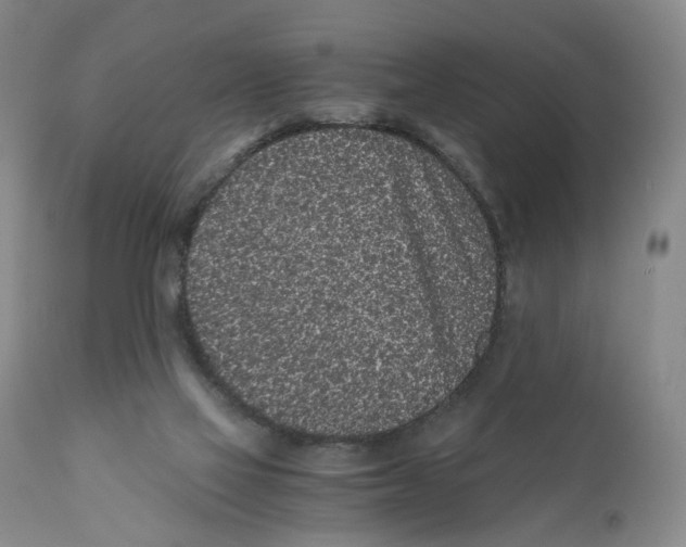 X0000110870069200907161448