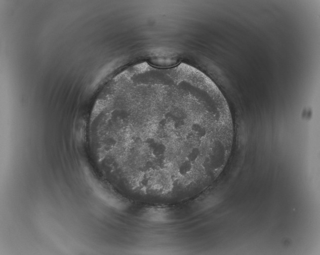 X0000110870071200907161448