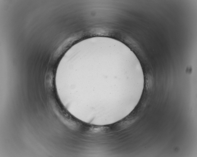 X0000110870072200907161448