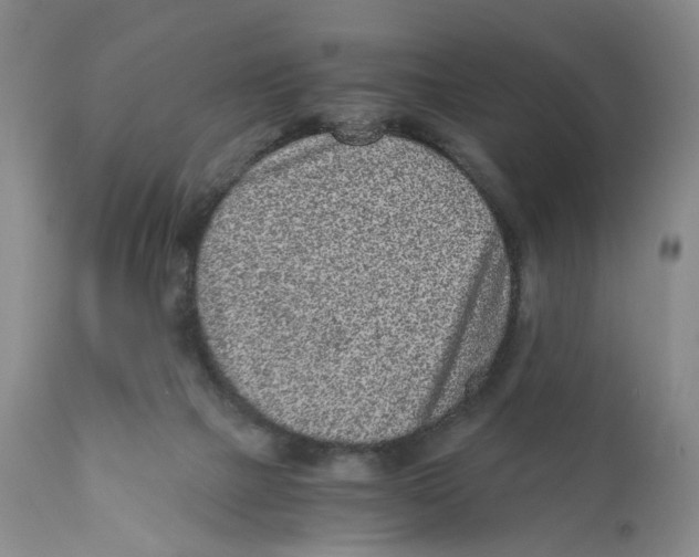 X0000110870073200907161448