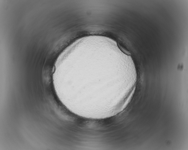 X0000110870074200907161448