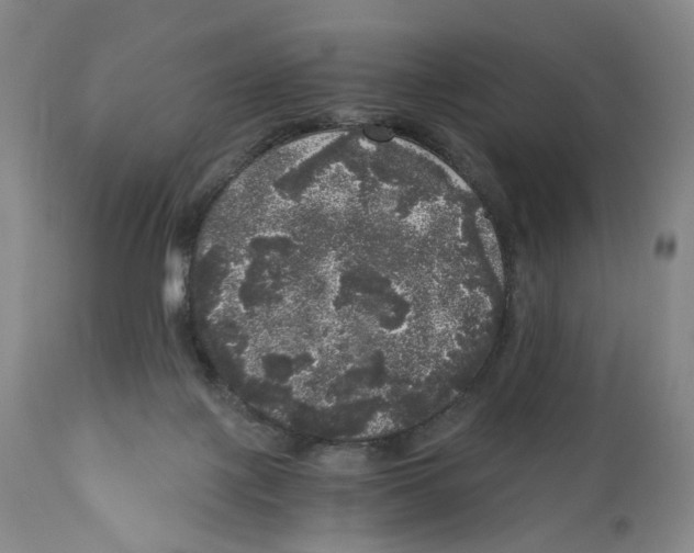 X0000110870075200907161448