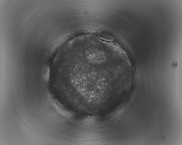 X0000110870076200907161448