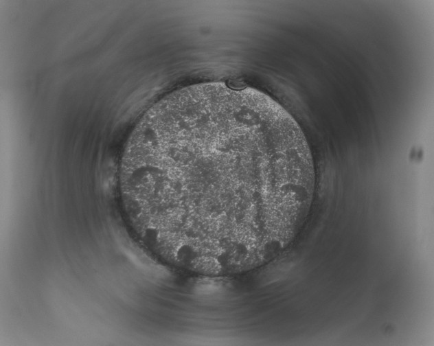 X0000110870077200907161448