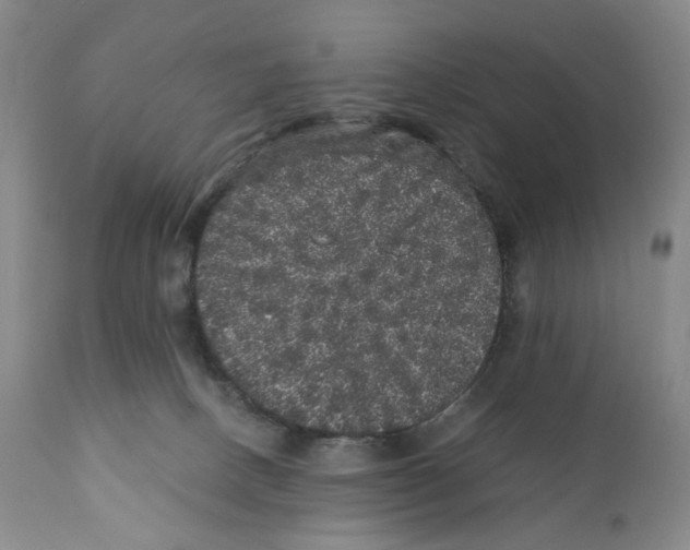 X0000110870082200907161448