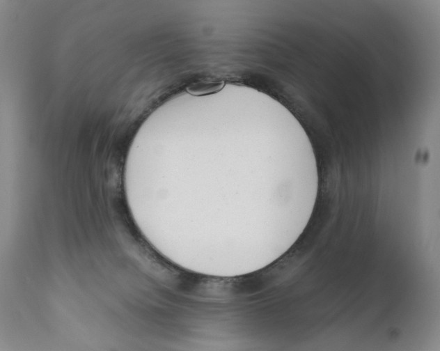 X0000110870084200907161448