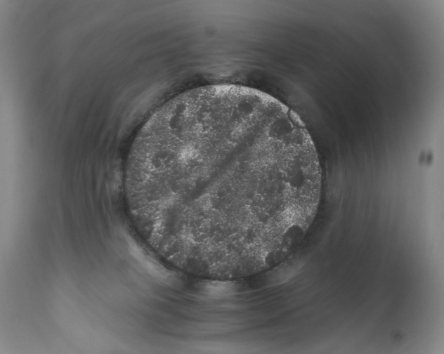 X0000110870085200907161448