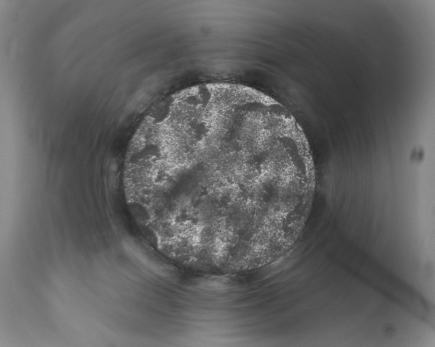 X0000110870086200907161448