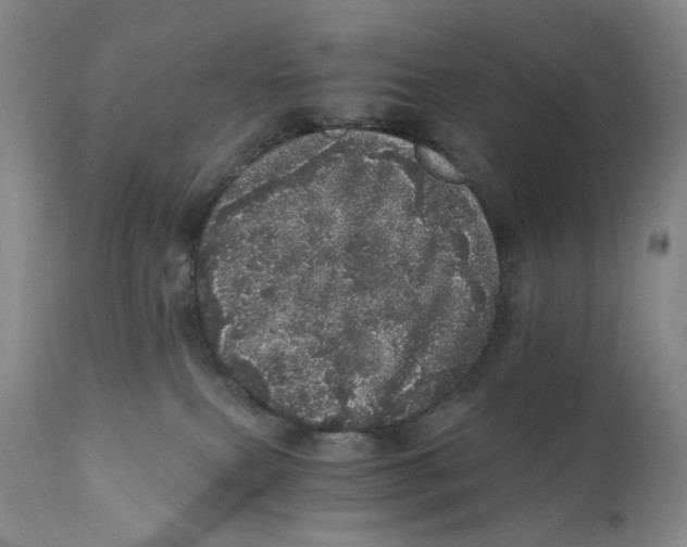 X0000110870087200907161448