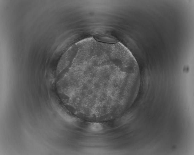 X0000110870091200907161448