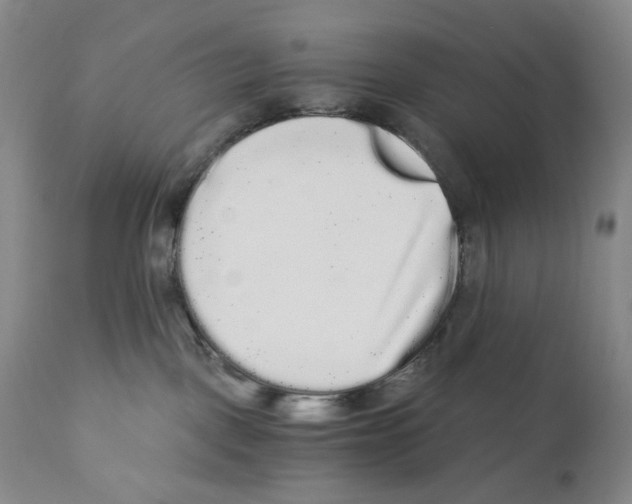 X0000110870093200907161448