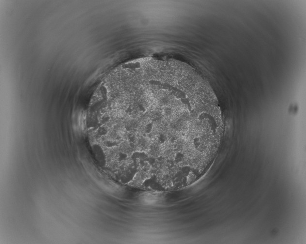 X0000110870094200907161448