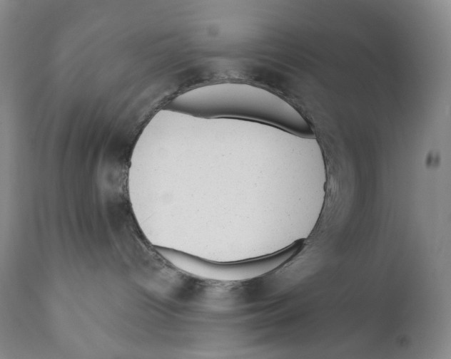 X0000110870096200907161448