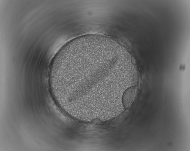 X0000110870098200907161448