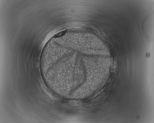 X0000110870099200907161448