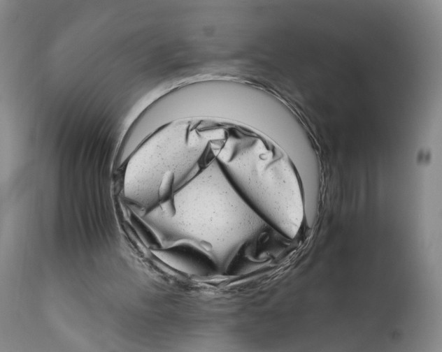 X0000110870100200907161448