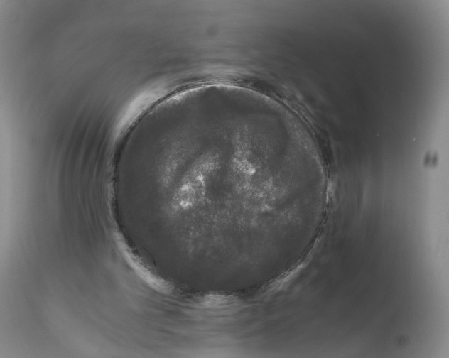 X0000110870101200907161448