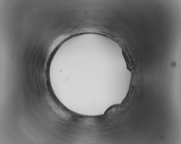 X0000110870104200907161448