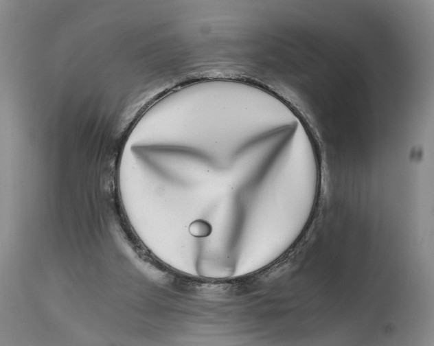 X0000110870105200907161447