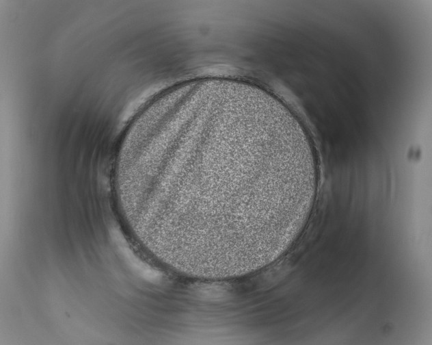 X0000110870106200907161447