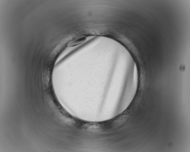 X0000110870113200907161447