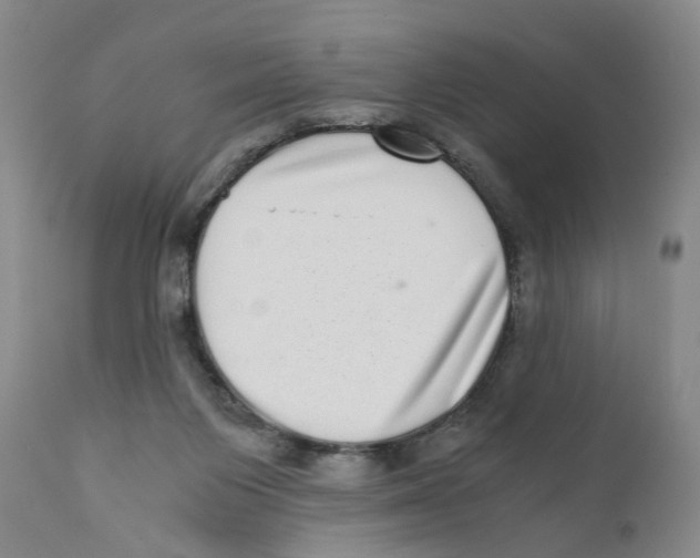 X0000110870119200907161447