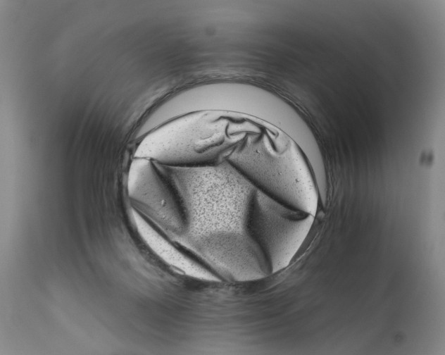 X0000110870120200907161447